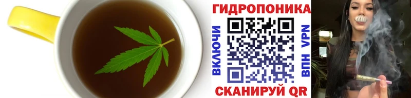 дарнет шоп  Миллерово  Cannafood конопля 