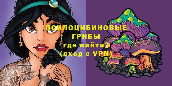 спиды Абдулино