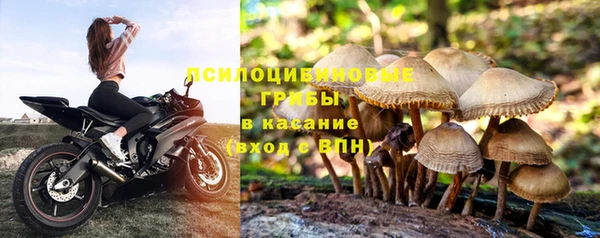 jwh Алексеевка